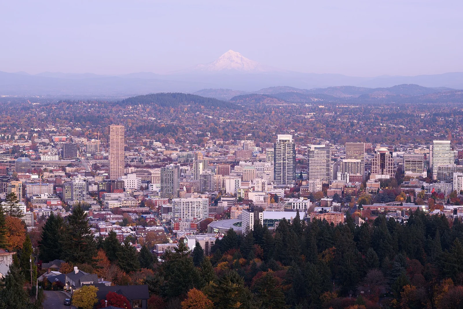 Homes and urban buildings in Portland viewed from a tree-covered hillside
