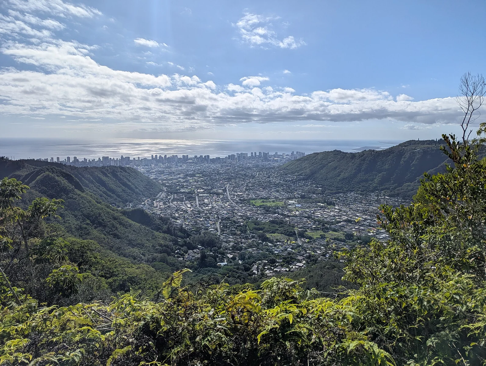 Residential neighborhoods spread across green Manoa Valley in Honolulu