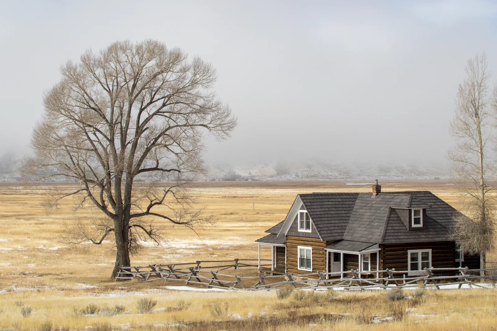 Wood-sided ranch house beside a large bare tree and open fields